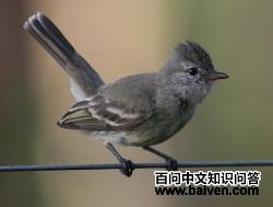 ���ϼ����l��ͼƬ