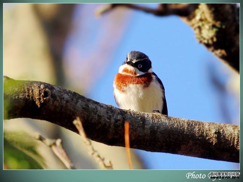 ������l��ͼƬ