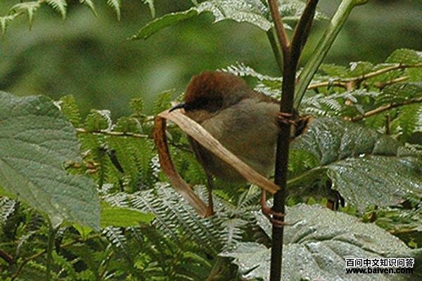 ������βݺ��ͼƬ