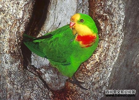 �������ĵ�ͼƬ