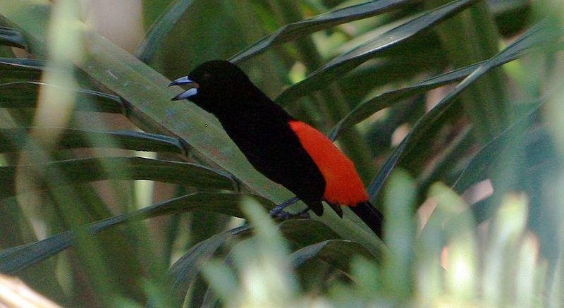 ���Ϻ�������ȸ��ͼƬ