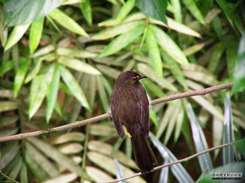 �Ȱ��ǵ�ͼƬ