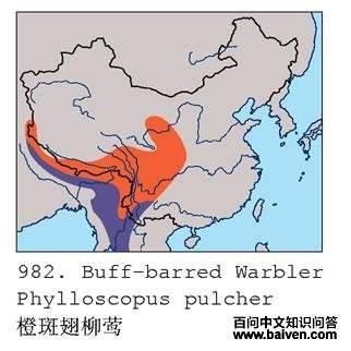 �Ȱ߳���ݺ�������ֲ�ͼ