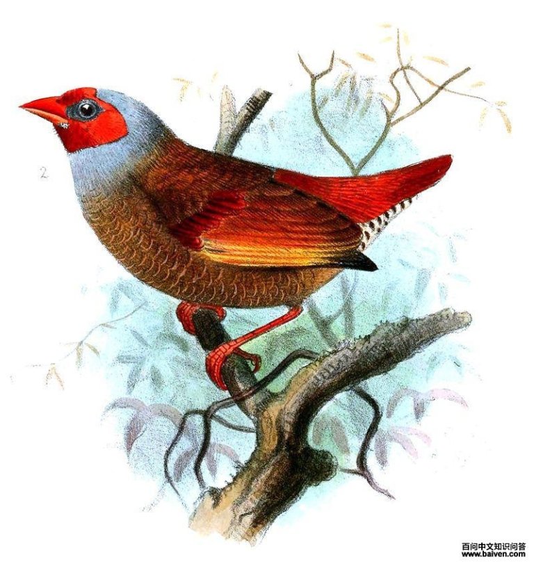 �ȳ�߸�ȸ��ͼƬ