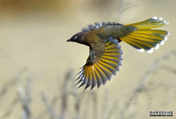 �ȳ����̣���Ӱ���ϱ����ͣ�����ص㣺���μ׸��ӣ�����ʱ�䣺2011-10-22