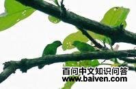 �ȶ��β����