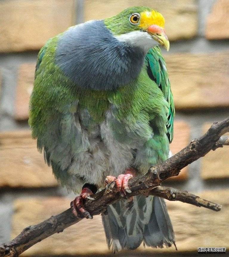 �ȶ����ͼƬ