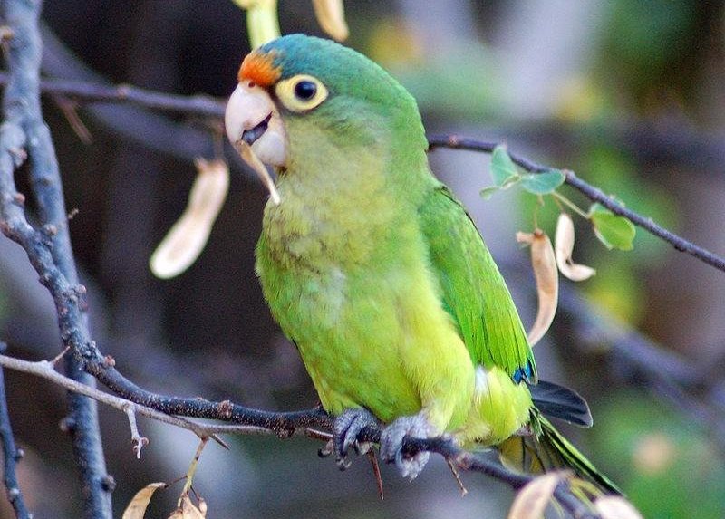 �ȶ����ĵ�ͼƬ