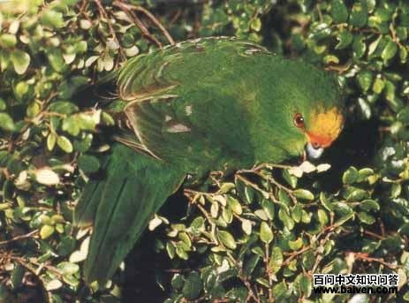 �ȶ�����