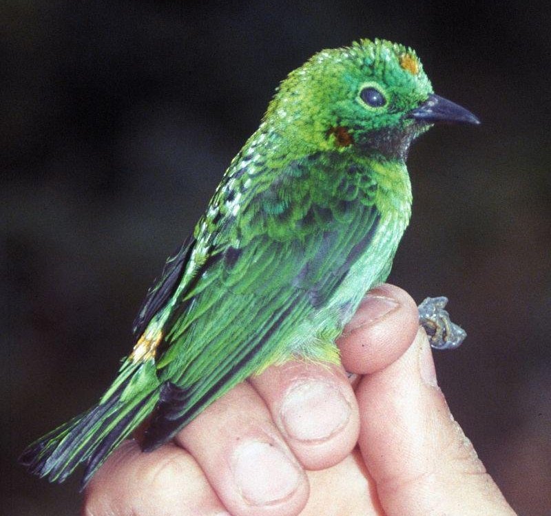 �ȶ���ȸ��ͼƬ