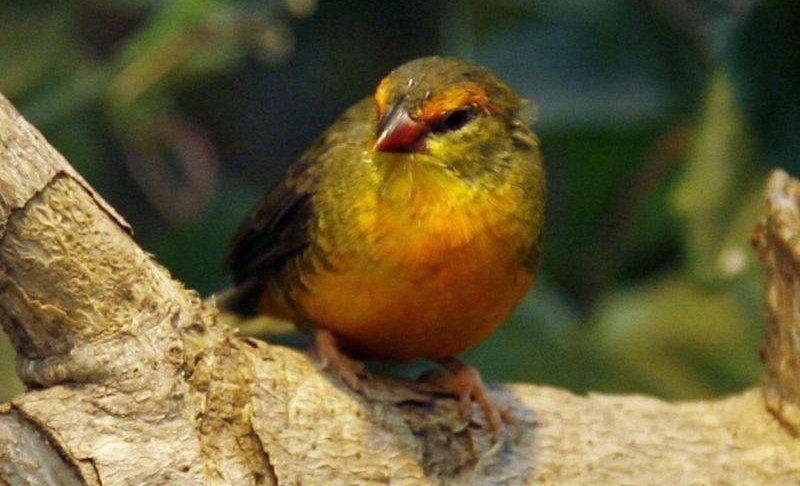 �ȸ�÷��ȸ��ͼƬ