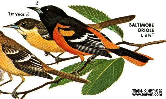 �ȸ���𿣺��̬����ͼ