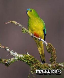 �ȸ�����