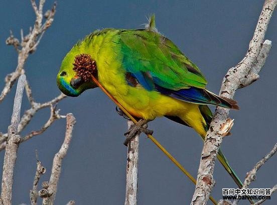 �ȸ�����