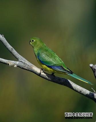 �ȸ�����