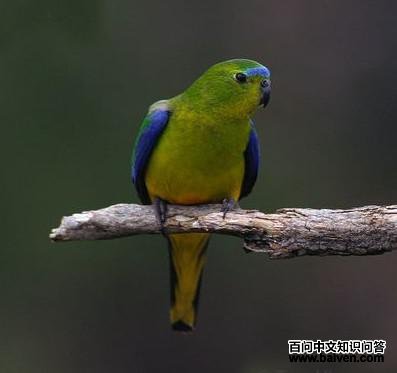 �ȸ�����