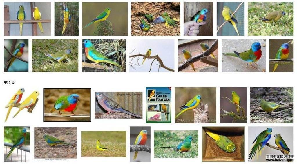 �ȸ���������ͼƬ