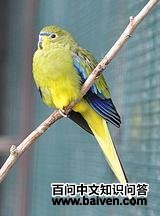 ��ü����