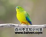 �ȸ�����