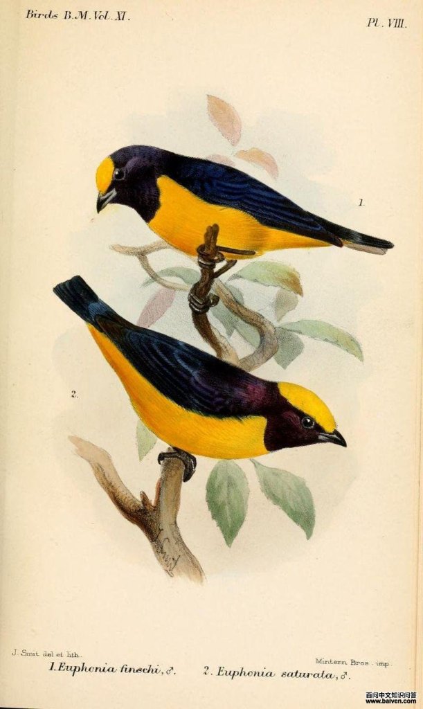 �ȹڸ�ȸ��ͼƬ