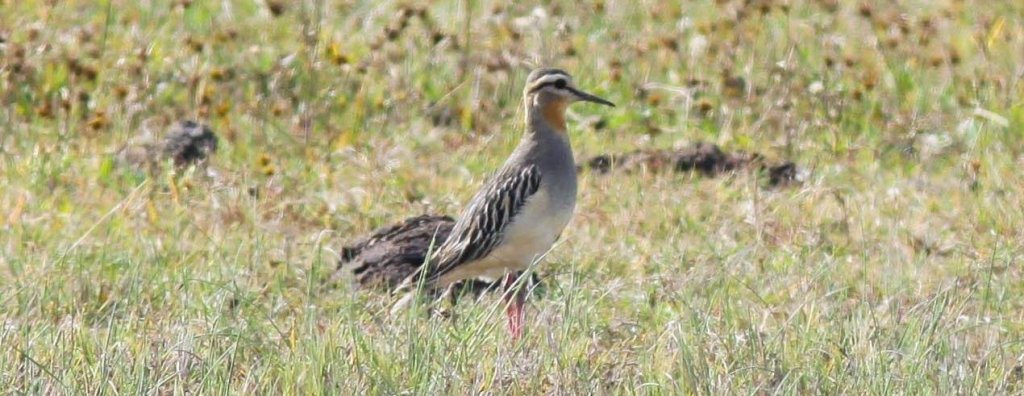 �Ⱥ��a��ͼƬ