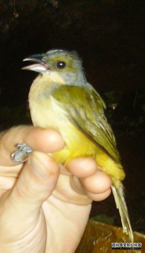 ���ƶ�������ȸ��ͼƬ