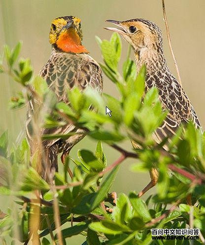 �Ⱥ���צ�n�_