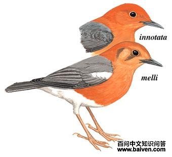 ��ͷ��𴣺��̬����ͼ