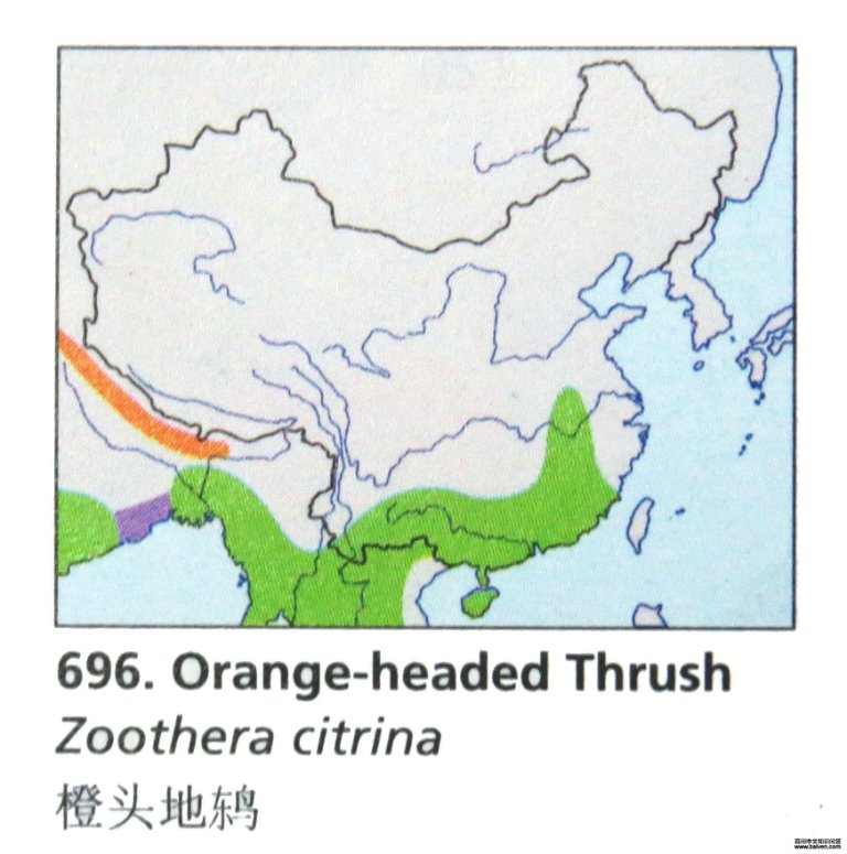 ��ͷ��𴣺�����ֲ�ͼ