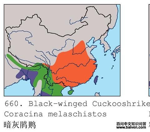 ���Ҿ��V�������ֲ�ͼ