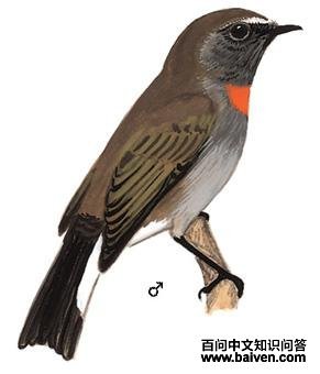 ���ؼ��l����̬����ͼ