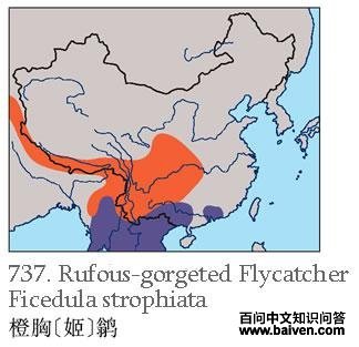 ���ؼ��l�������ֲ�ͼ