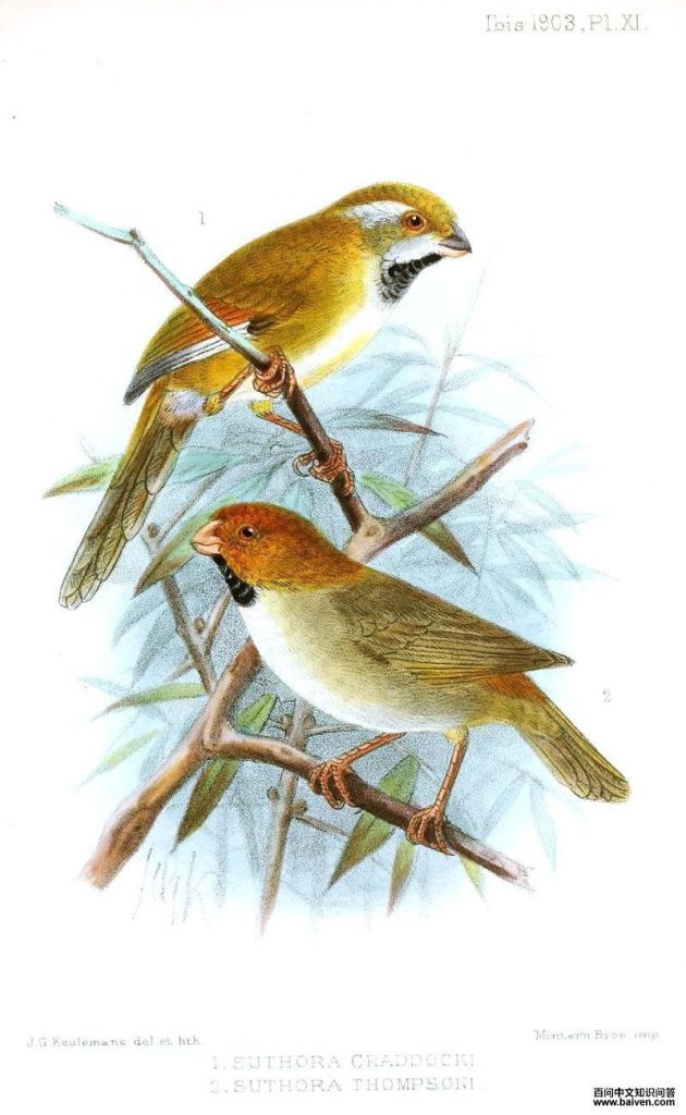 ��βѻȸ��ͼƬ