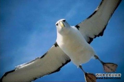 ��β������