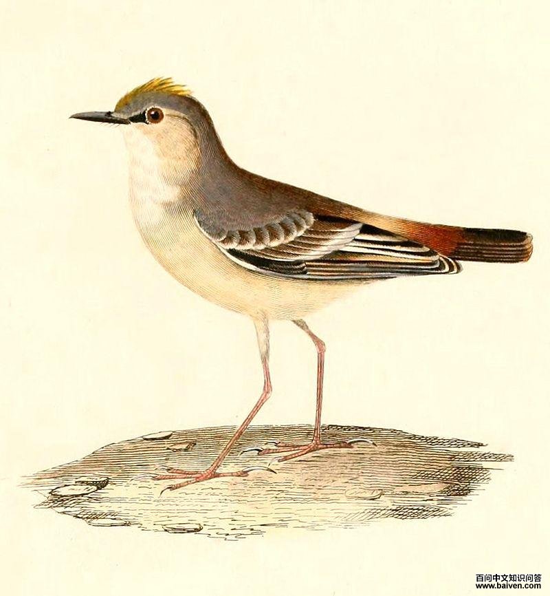 ��β����l��ͼƬ