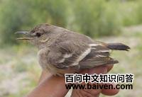 ��β����l