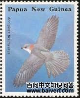 ��βȸӥ��ͼƬ