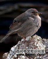 ��βȸ�c��