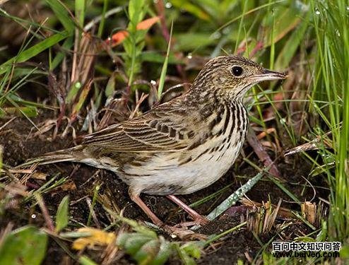 ��β�ҵ�ͼƬ