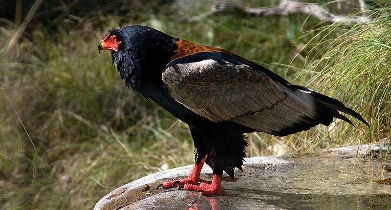 ��β���ͼƬ