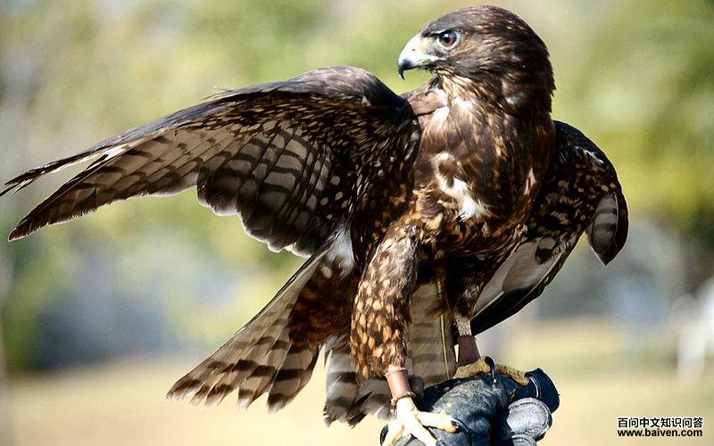 ��β�\��ͼƬ