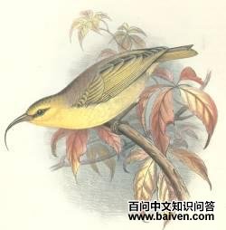 ������ȸ��ͼƬ