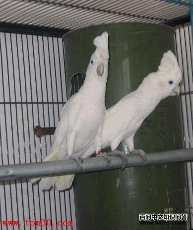 ���Ϸ�ͷ����