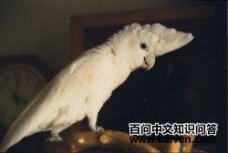 ���Ϸ�ͷ����