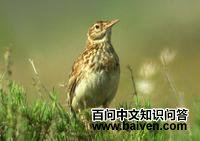 ���ϰ���