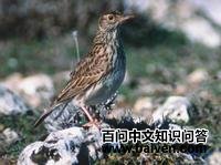 ���ϰ���