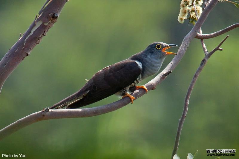 �ž�����ͼƬ