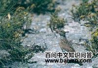 ���ϰ���