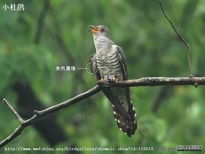 С�ž飺��Ե��ɫ