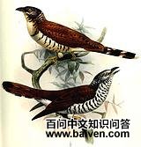 �����ž�